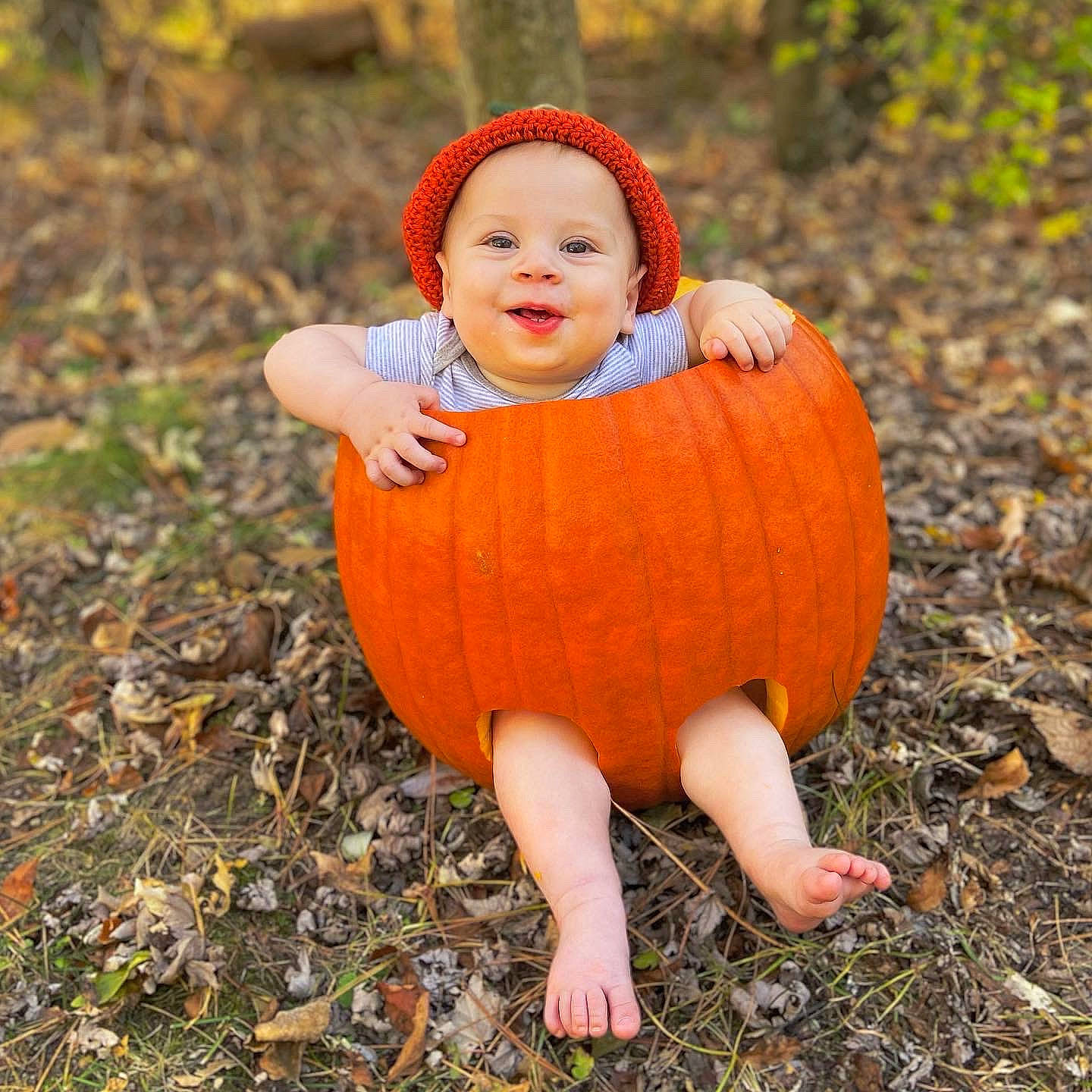 Maverick is registered to the contest to win money with this photo: baby_toddler_clothing, calabaza, deciduous, eye, face, grass, happy, hat, head, human_body, joy, nature, orange, people_in_nature, person, plant, pumpkin, smile, toddler, tree