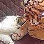cat, plush_toy, tiger, sleeping, snuggling, paw, quilted_surface, cozy, indoor, pet, feline, stuffed_animal, resting, close_up, soft_texture, cute, animal, companion, home, relaxation