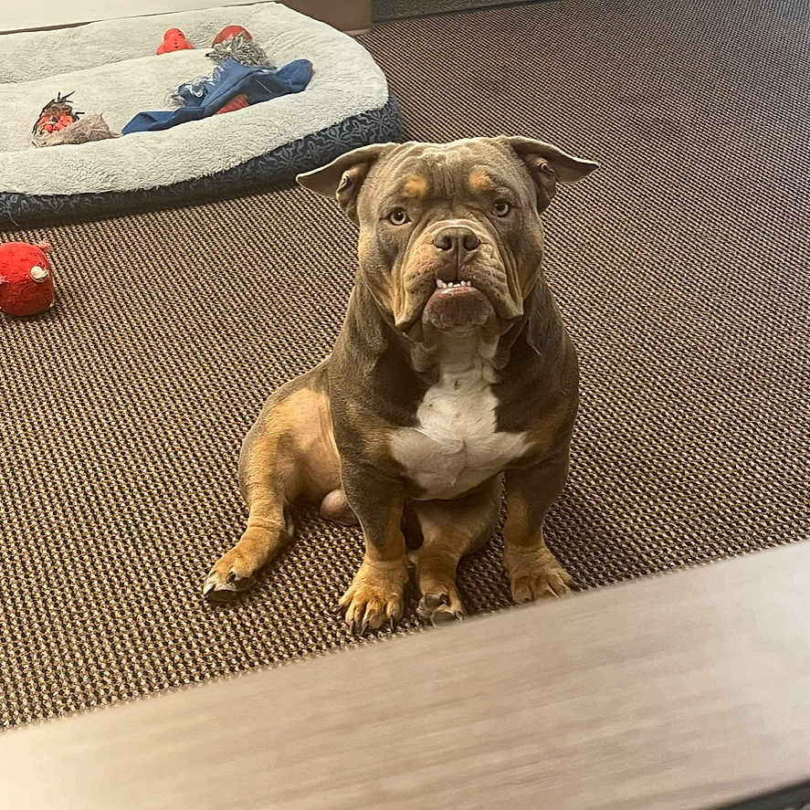Menace