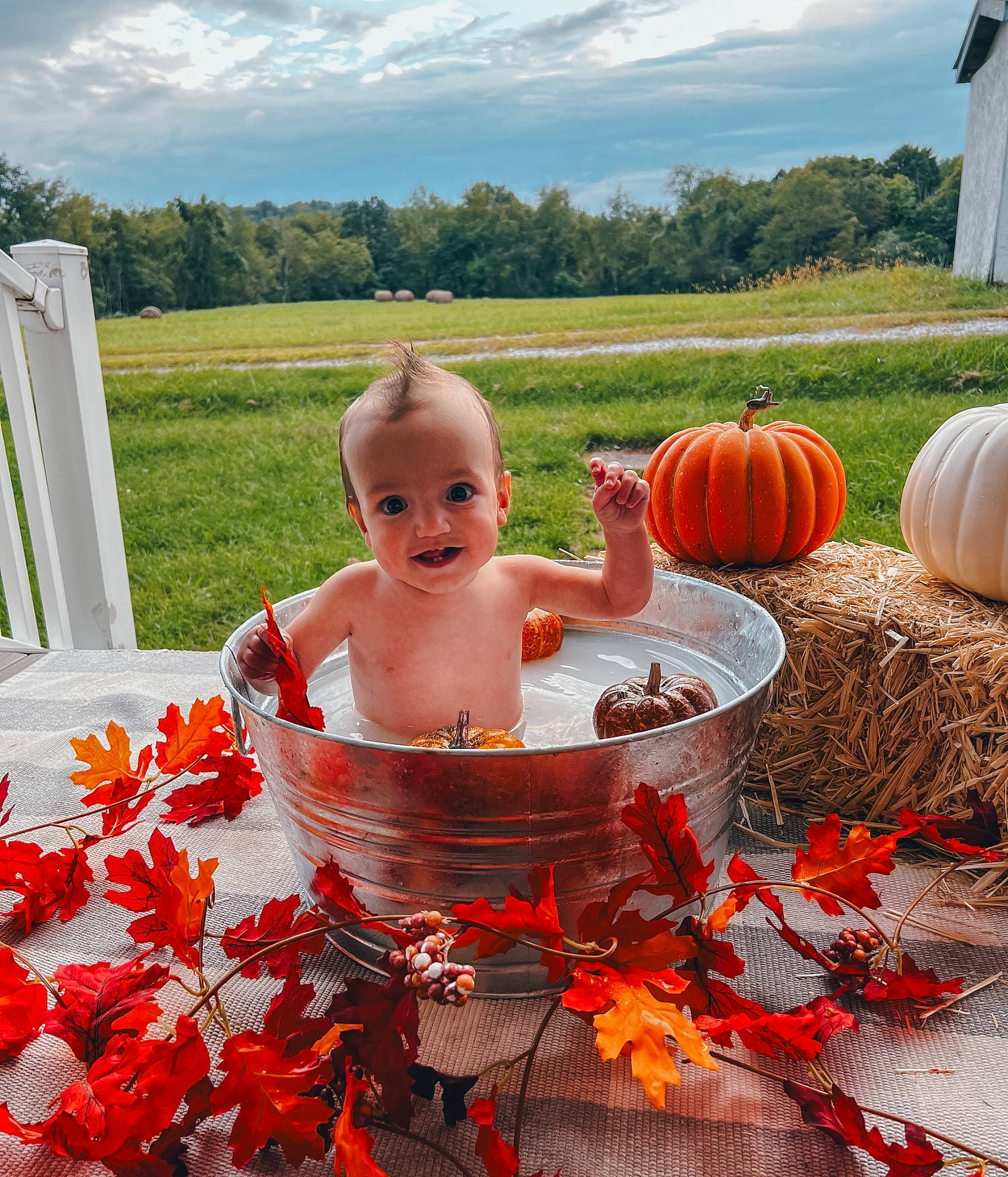 Cooper is registered to the contest to win money with this photo: baby, botany, calabaza, cloud, cucurbita, flower, gourd, grass, leisure, natural_foods, orange, person, petal, plant, pumpkin, sky, squash, toddler, tree, vegetable