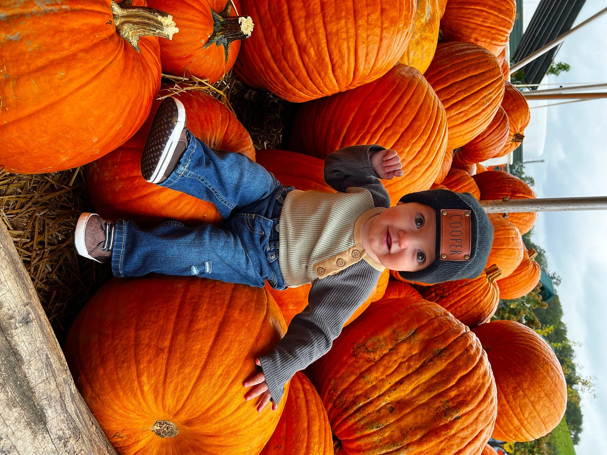 Cooper joined the competition — help win amazing prizes! calabaza, cucurbita, food, fruit, gourd, headwear, joy, leaf, light, local_food, natural_foods, orange, person, plant, produce, pumpkin, sky, squash, tints_and_shades, vegetable