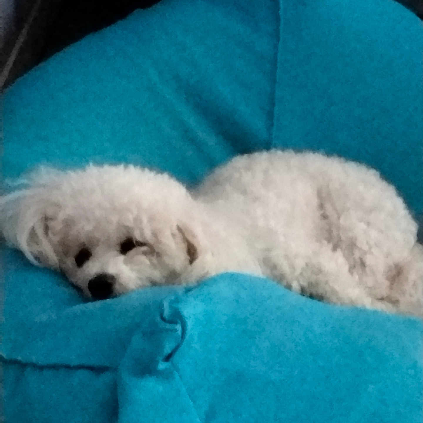 Tina