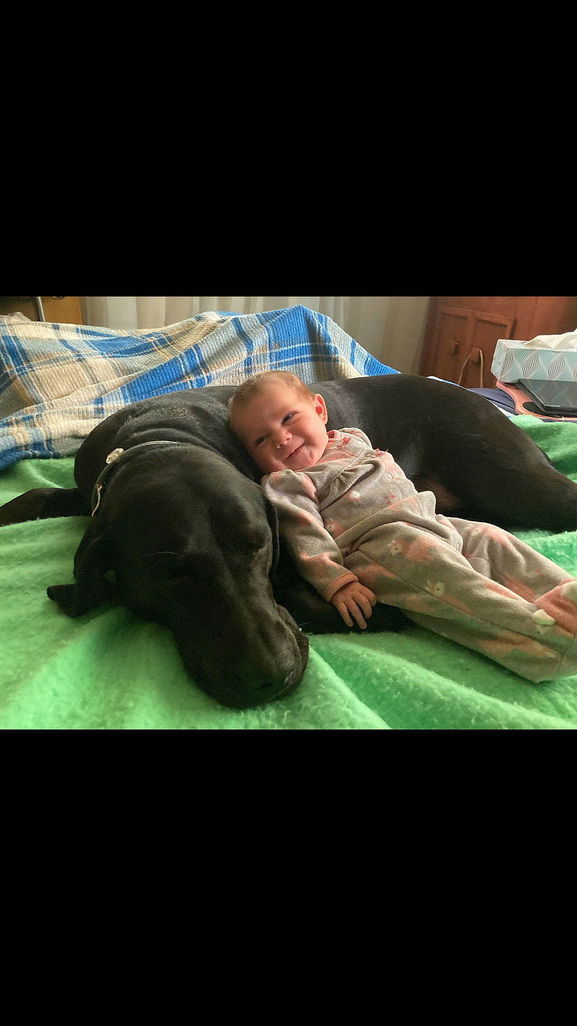 Enid joined the competition — help win amazing prizes! baby, bed, bedding, bedtime, child, comfort, companion_dog, darkness, flash_photography, fun, fur, grass, leisure, linens, nap, person, room, sitting, sleep, smile