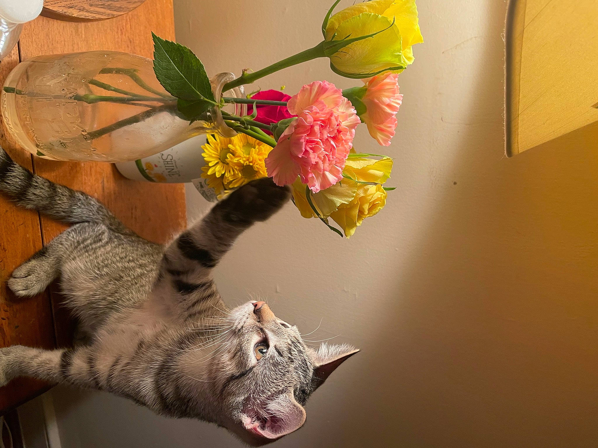 Pawl joined the competition — help win amazing prizes! art, artificial_flower, bouquet, creative_arts, cut_flowers, fashion_accessory, floral_design, floristry, flower, flower_arranging, flowering_plant, fur, peach, petal, plant, tail, tree, trunk, twig, visual_arts