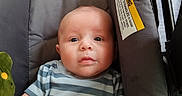 Jameson is registered to the contest to win money with this photo: baby, blue_eyes, car_seat, casual, child, cushion, cute, expression, face, home, indoor, infant, pacifier, person, plush_toy, relaxed, seat, soft_lighting, striped_clothing, young_child