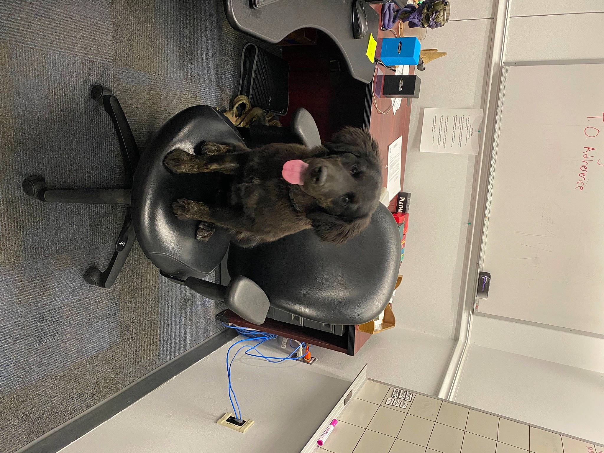 Zion is registered to the contest to win money with this photo: audio_equipment, auto_part, automotive_design, automotive_tire, automotive_wheel_system, computer_component, computer_cooling, computer_hardware, electrical_supply, electrical_wiring, gas, machine, ventilation_fan, whiteboard, wire