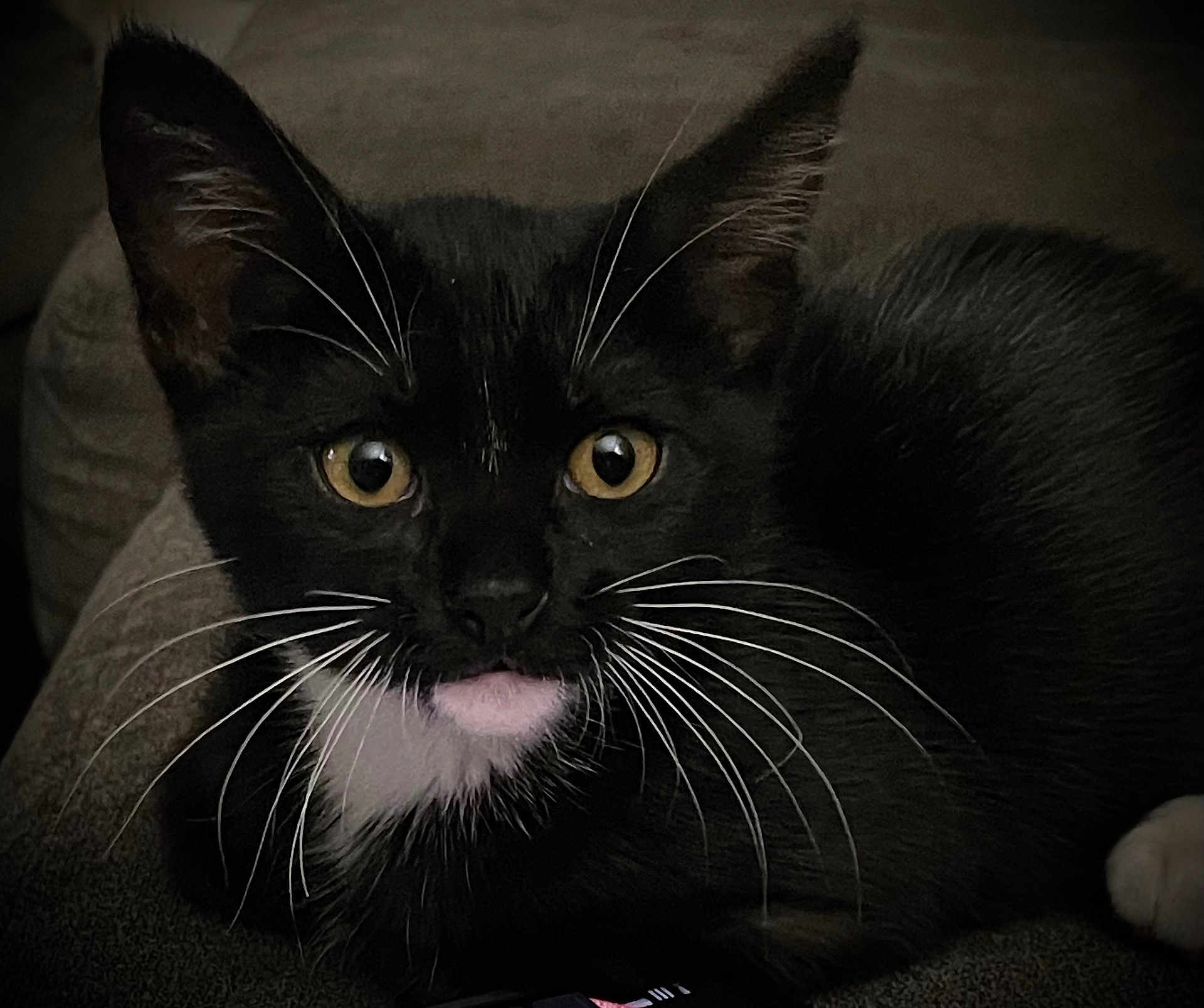 Onyx
