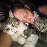 Jak is registered to the contest to win money with this photo: animal, cat, close_up, companion, cozy, cuddle, domestic_animal, face, feline, fur, human, indoor, paw, person, pet, relaxation, resting, sleeping, snuggling, tabby_cat
