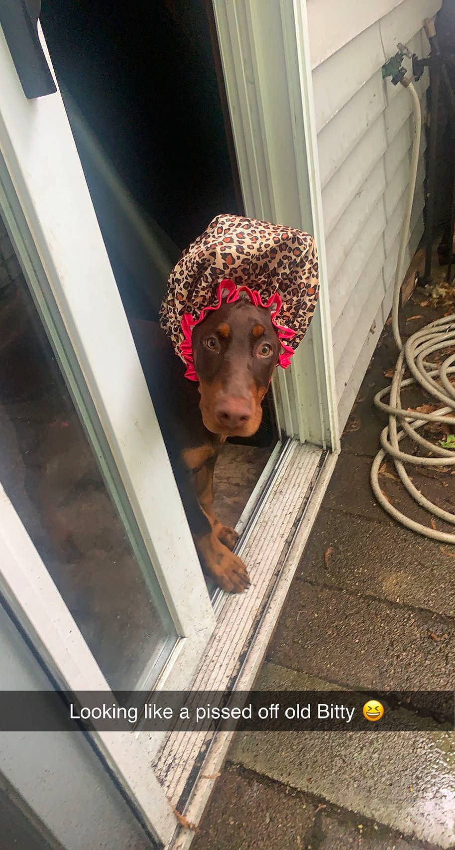 Amira is registered to the contest to win money with this photo: asphalt, fashion_accessory, fashion_design, flooring, magenta, road_surface, window