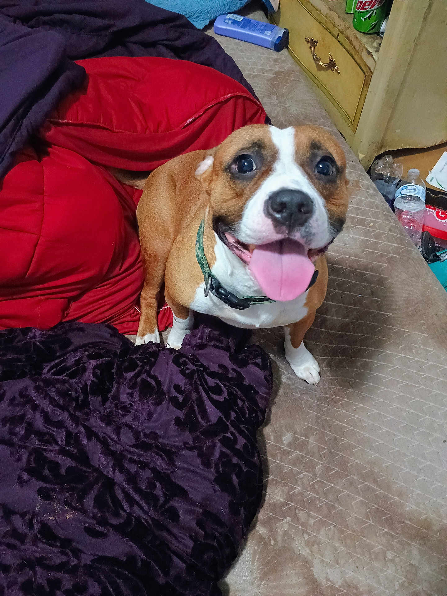 Nala