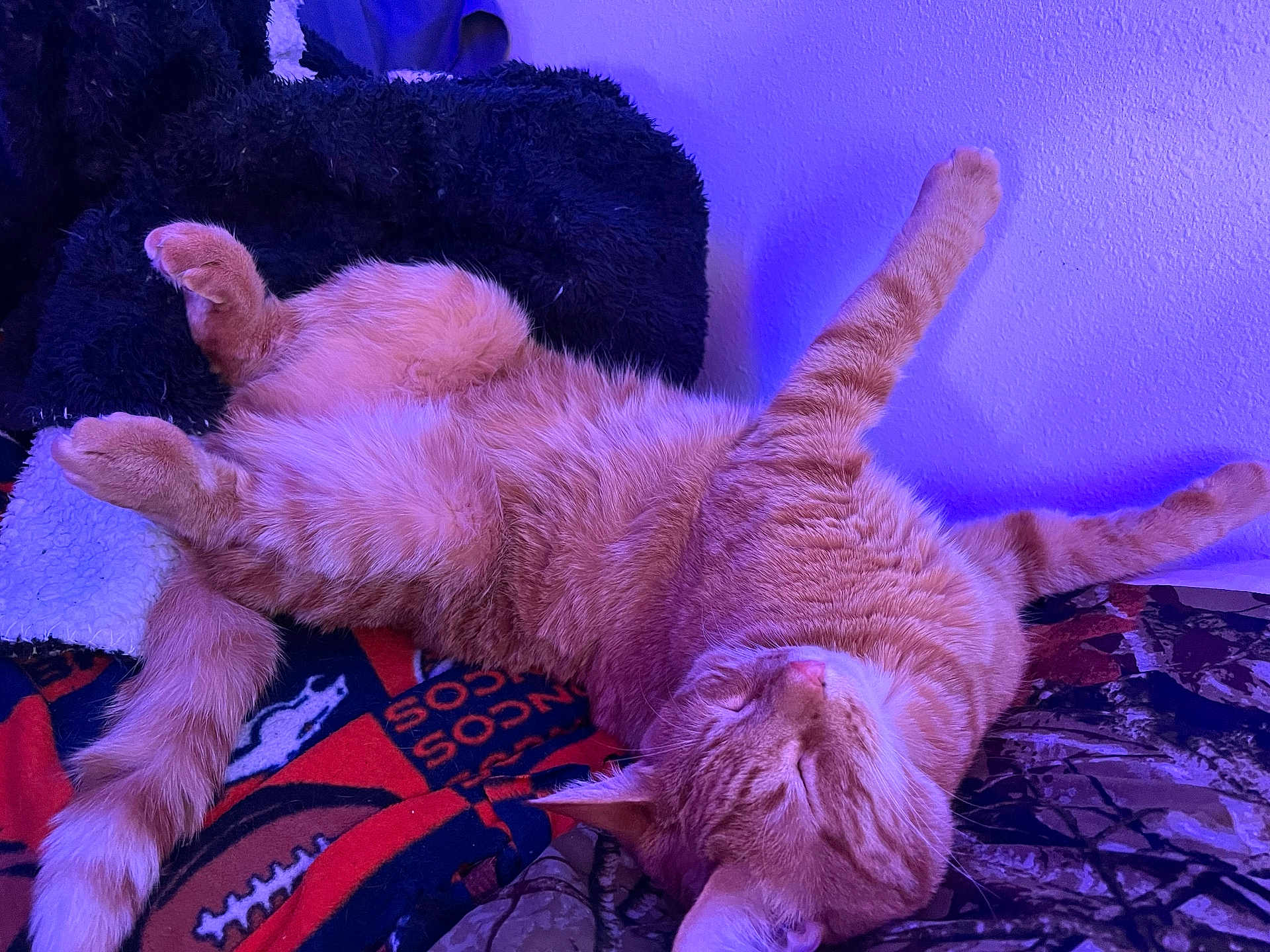 Pablo