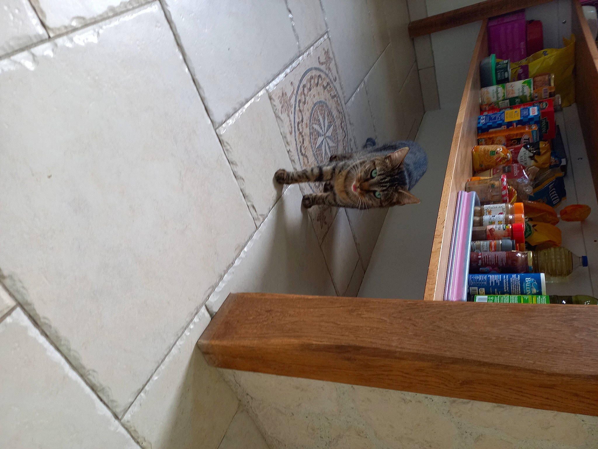 Sookie participe au concours pour gagner de l'argent avec cette photo : building, ceiling, composite_material, concrete, door, floor, flooring, handrail, hardwood, house, molding, plywood, rectangle, room, shelf, shelving, stairs, varnish, wood, wood_stain