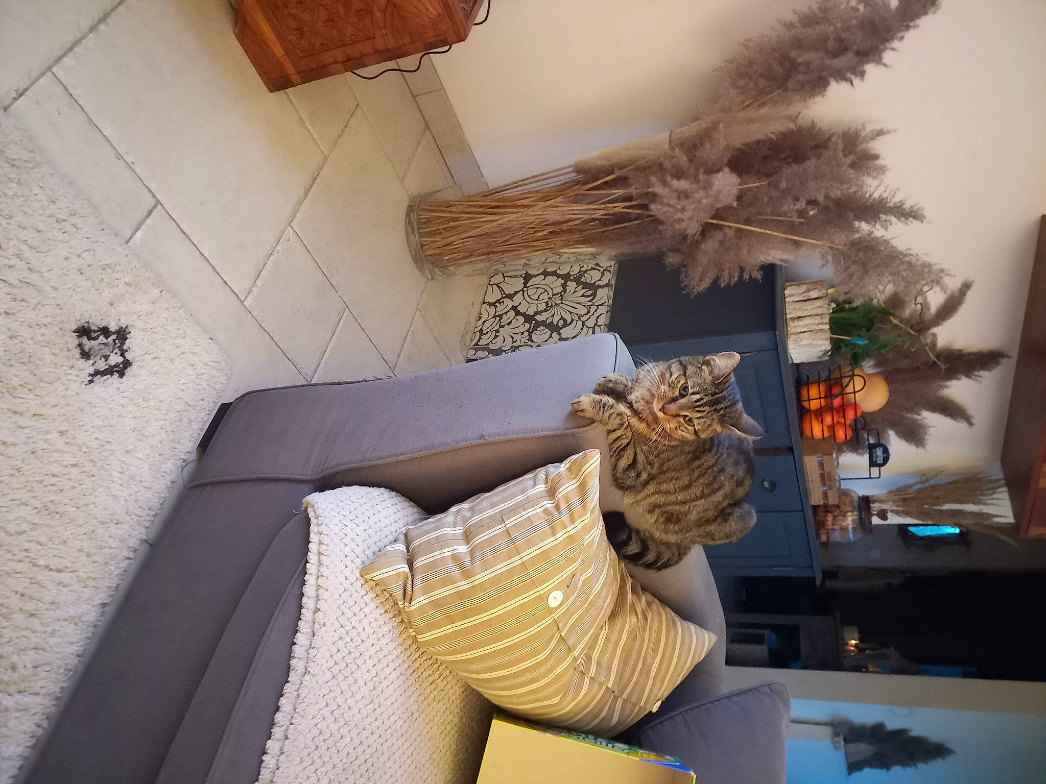 Sookie participe au concours pour gagner de l'argent avec cette photo : architecture, art, ceiling, comfort, flooring, hardwood, hat, house, interior_design, linens, living_room, natural_material, plant, room, shelf, shelving, table, twig, window, wood