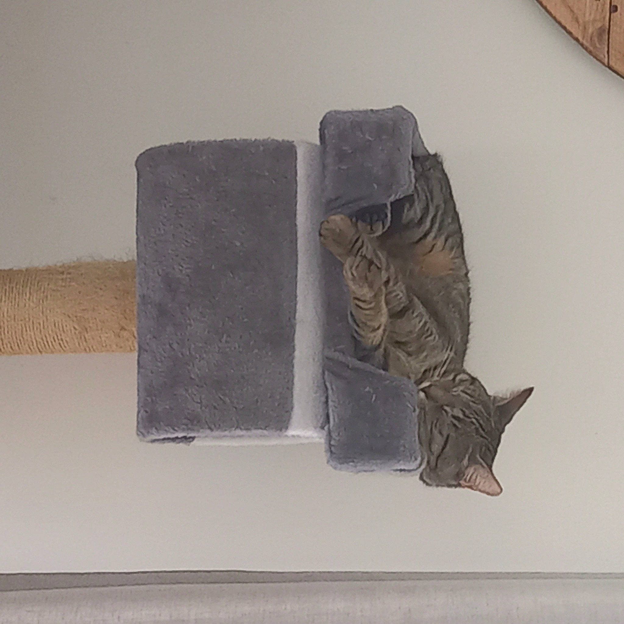 Praline participe au concours pour gagner de l'argent avec cette photo : art, artifact, carving, creative_arts, grey, metal, rectangle, relief, sculpture, still_life_photography, visual_arts, wood