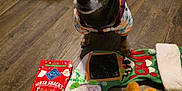 Liberty joined the competition — help win amazing prizes! animal, black_dog, christmas, clothing, cute, dog, dog_toy, festive, floor, holiday, indoor, looking_up, pet, small_dog, stocking, stuffed_toy, sweater, toy, treats, wooden_floor
