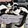 Zorro Et Loulou
