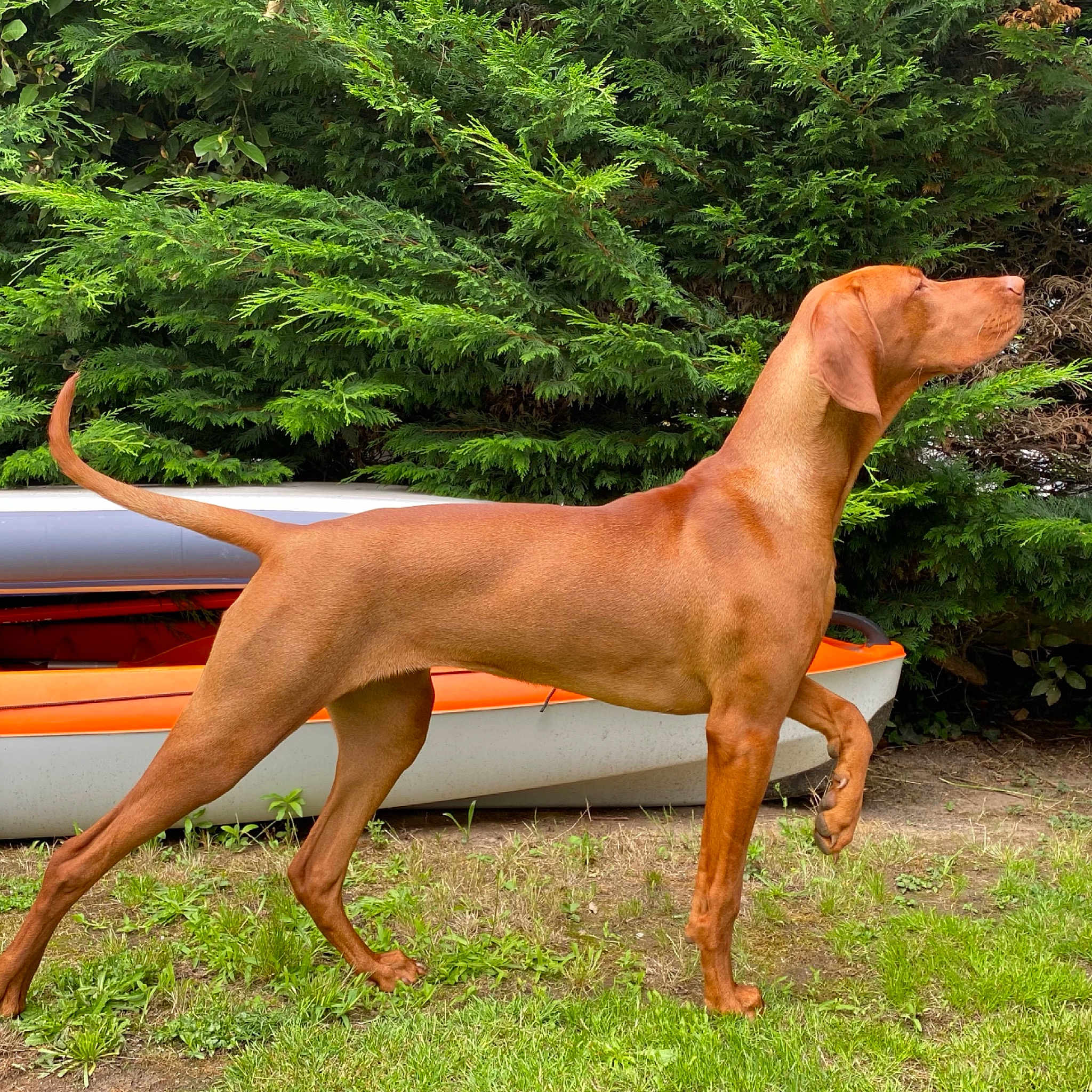 Replay Des Anses De Gourmalon