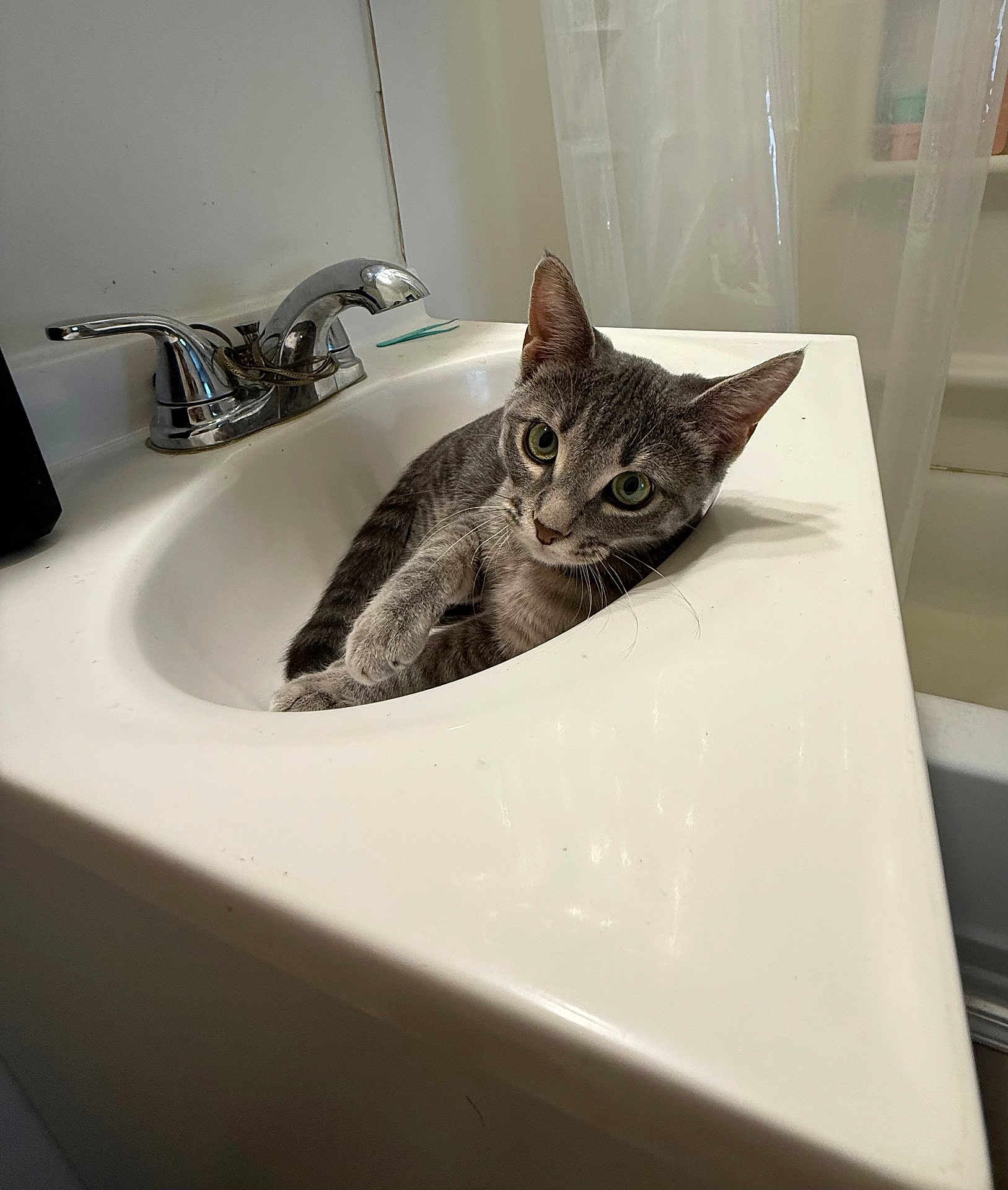 Pepper