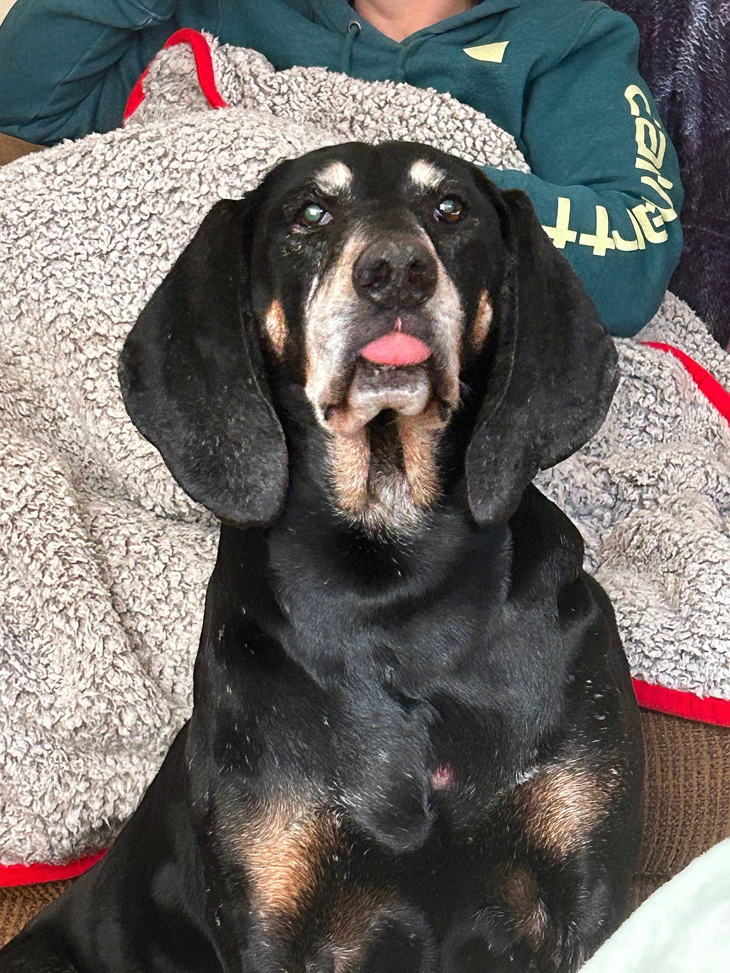 Dixie Lee