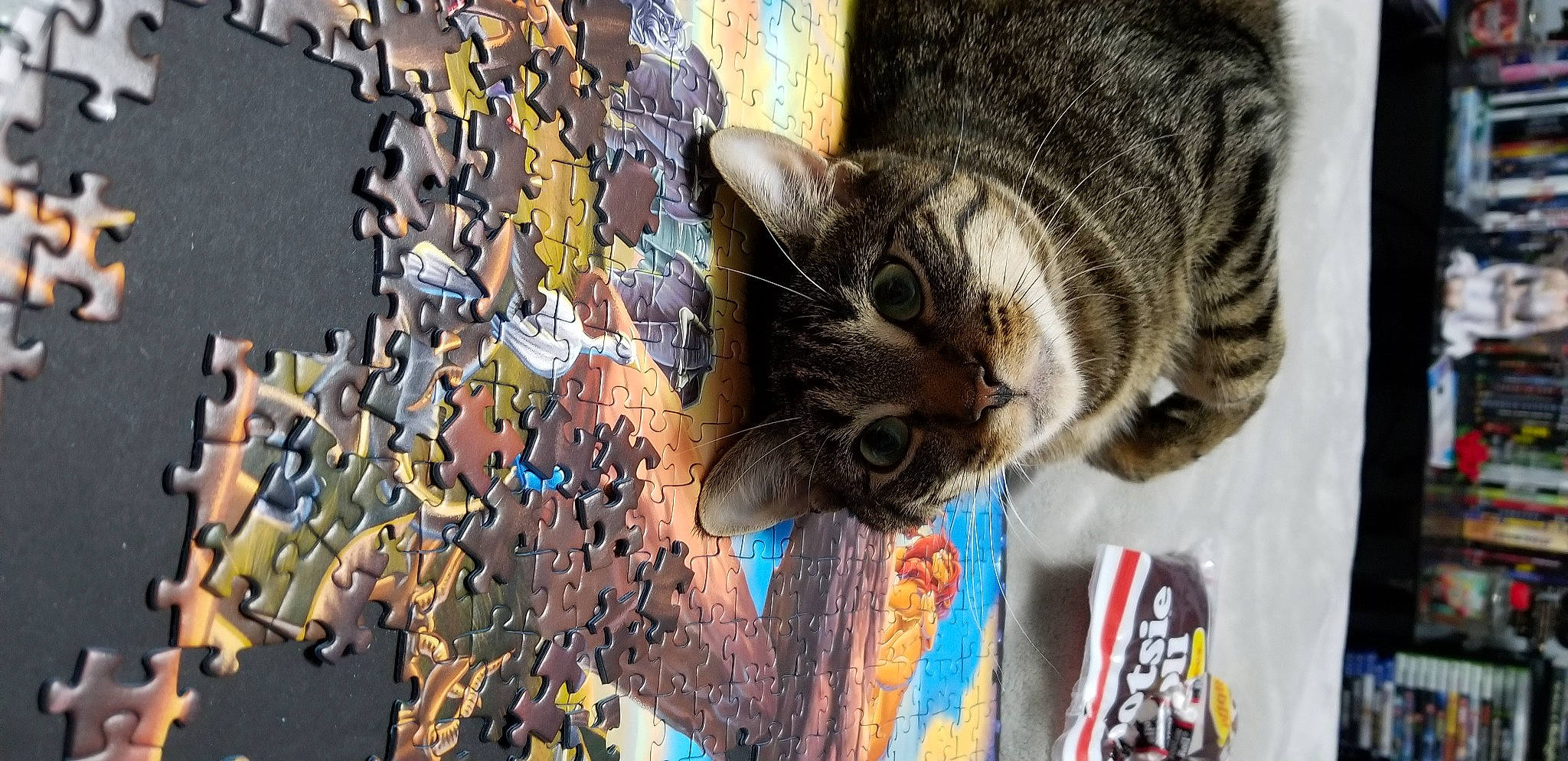 Snickers is registered to the contest to win money with this photo: art, carnivore, cat, claw, domestic_short_haired_cat, felidae, fur, pattern, paw, plant, small_to_medium_sized_cats, snout, tail, textile, tree, visual_arts, whiskers, window, wood