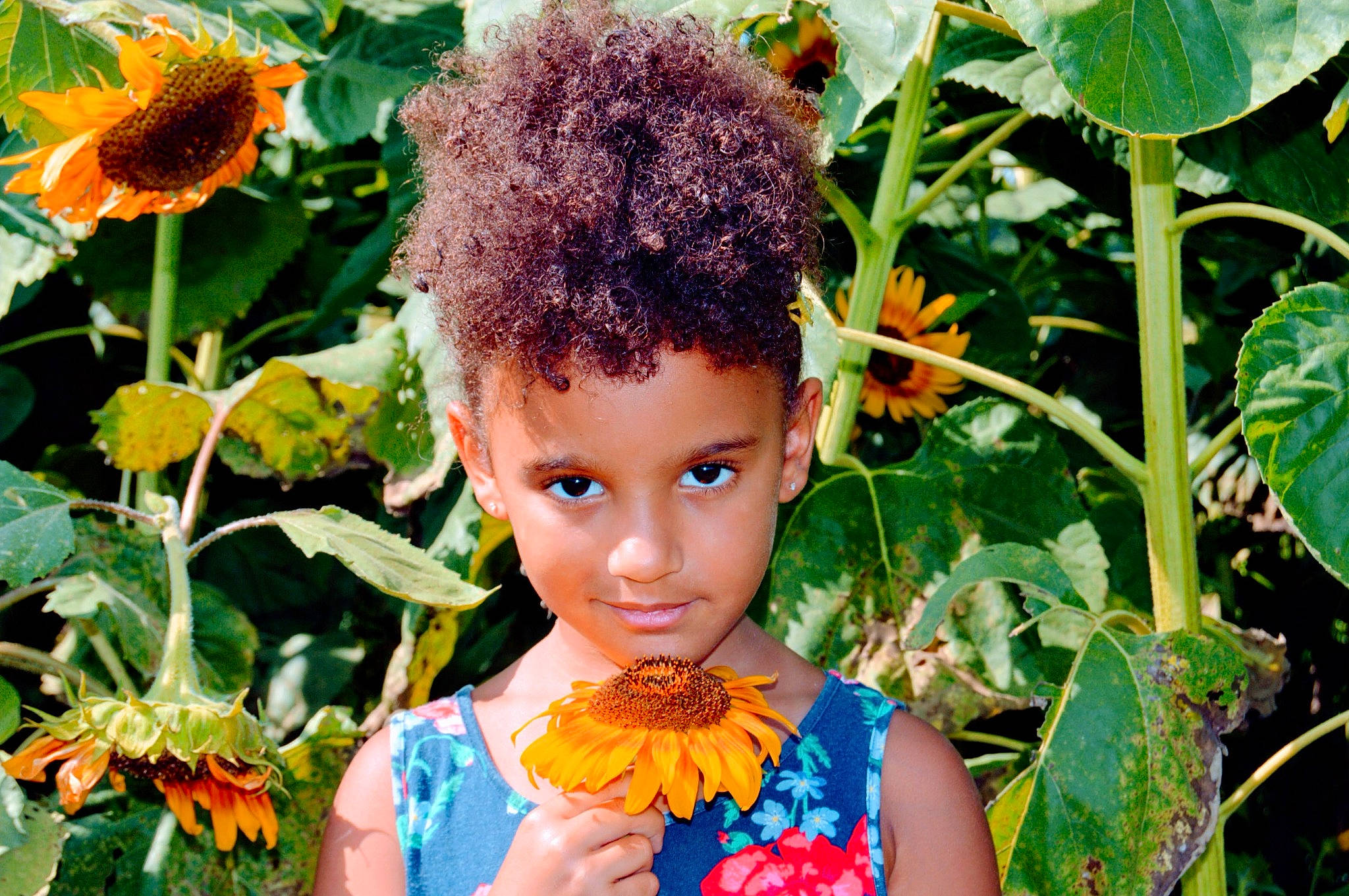 Amiyah is registered to the contest to win money with this photo: adaptation, black_hair, botany, facial_expression, flower, grass, green, hairstyle, happy, jheri_curl, leaf, nature, organism, people_in_nature, person, photograph, plant, summer, toddler, tree