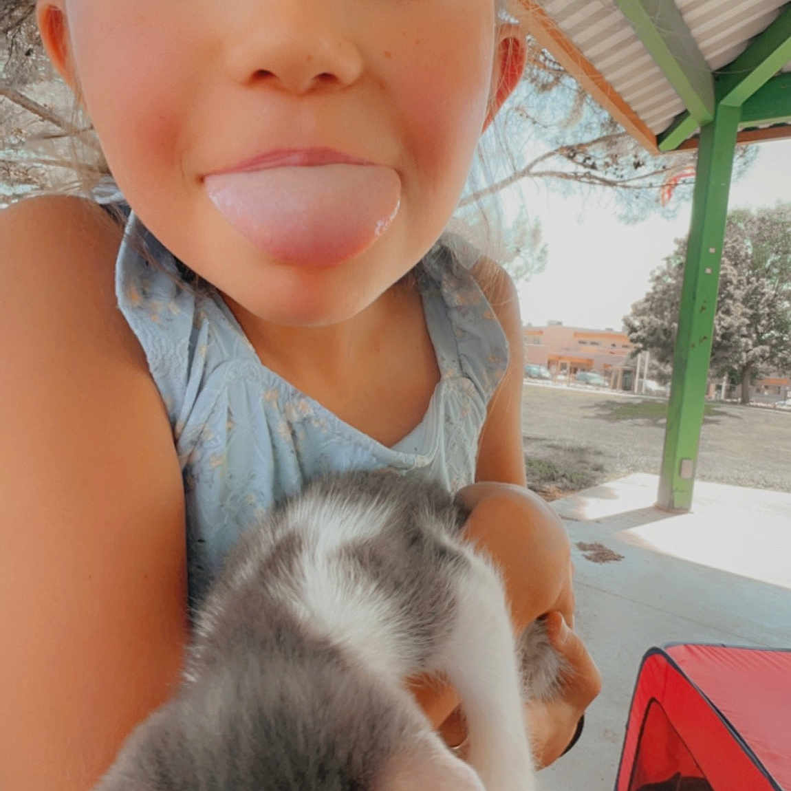 Aleah