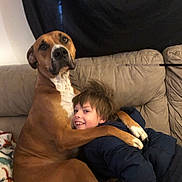 Toby joined the competition — help win amazing prizes! dog, child, couch, hugging, smiling, indoor, brown_dog, happy, pet, friendship, cozy, living_room, blanket, casual_clothing, seated, fur, human, comfort, affection, relaxation