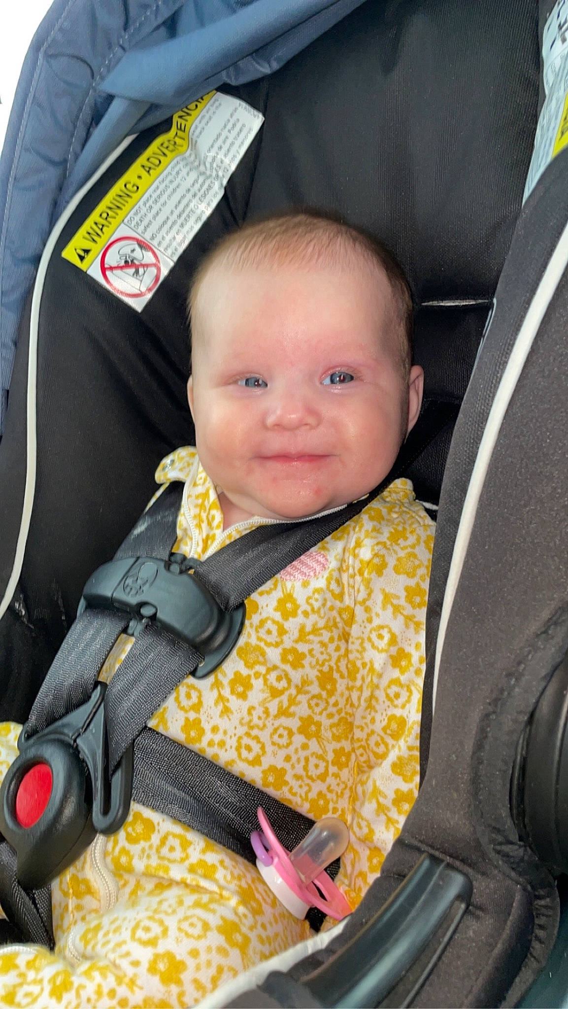 Genevieve joined the competition — help win amazing prizes! auto_part, baby, baby_carriage, baby_in_car_seat, baby_products, baby_safety, car_seat, car_seat_cover, child, comfort, fun, head_restraint, joy, luxury_vehicle, motor_vehicle, person, plant, seat_belt, sitting, smile