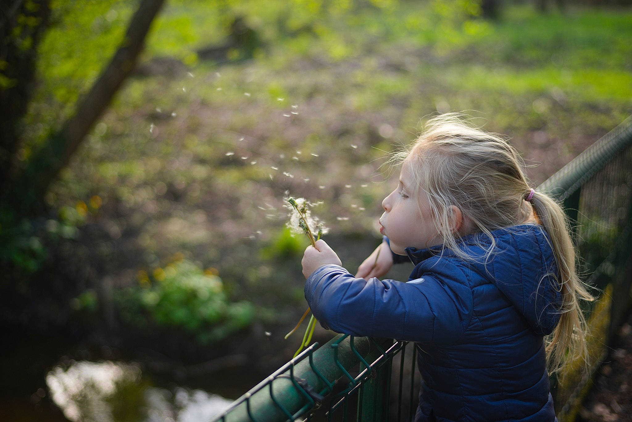 Léa participe au concours pour gagner de l'argent avec cette photo : child, flash_photography, forest, fun, grass, grassland, happy, jungle, leisure, natural_landscape, people_in_nature, person, plant, portrait_photography, recreation, sitting, sunlight, toddler, tree, wildlife