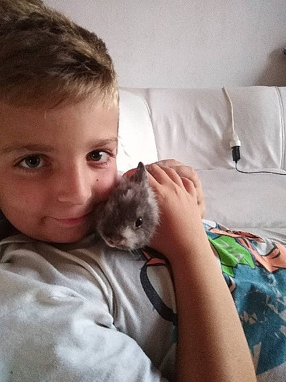 Lukas a rejoint le concours — aidez-le/la à gagner de superbes lots ! canidae, carnivore, cat, child, comfort, companion_dog, domestic_short_haired_cat, eye, fawn, felidae, fur, iris, joy, linens, mammal, paw, person, small_to_medium_sized_cats, smile, snout