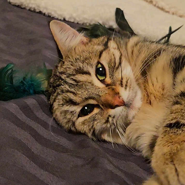 Mila