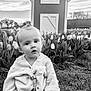 toddler, child, flower_bed, tulips, grass, barn, outdoor, nature, portrait, black_and_white, knitted_sweater, young_child, cute, baby, garden, spring, sitting, curious, small_hair_bun, scenery