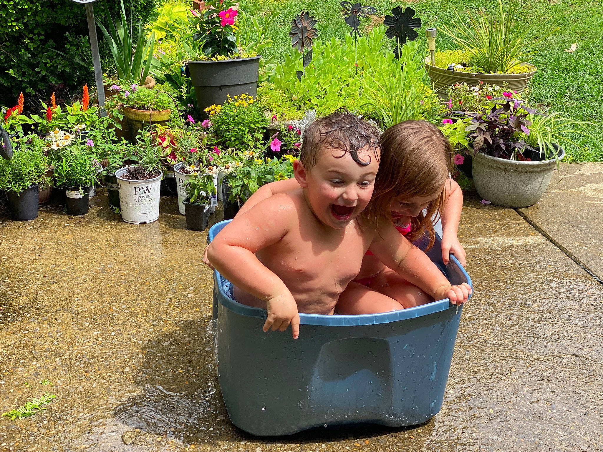 Jett joined the competition — help win amazing prizes! annual_plant, baby_bathing, barechested, barefoot, bathing, flower, flowerpot, foot, fun, grass, groundcover, hair, houseplant, lawn, leisure, person, plant, shrub, smile, toddler