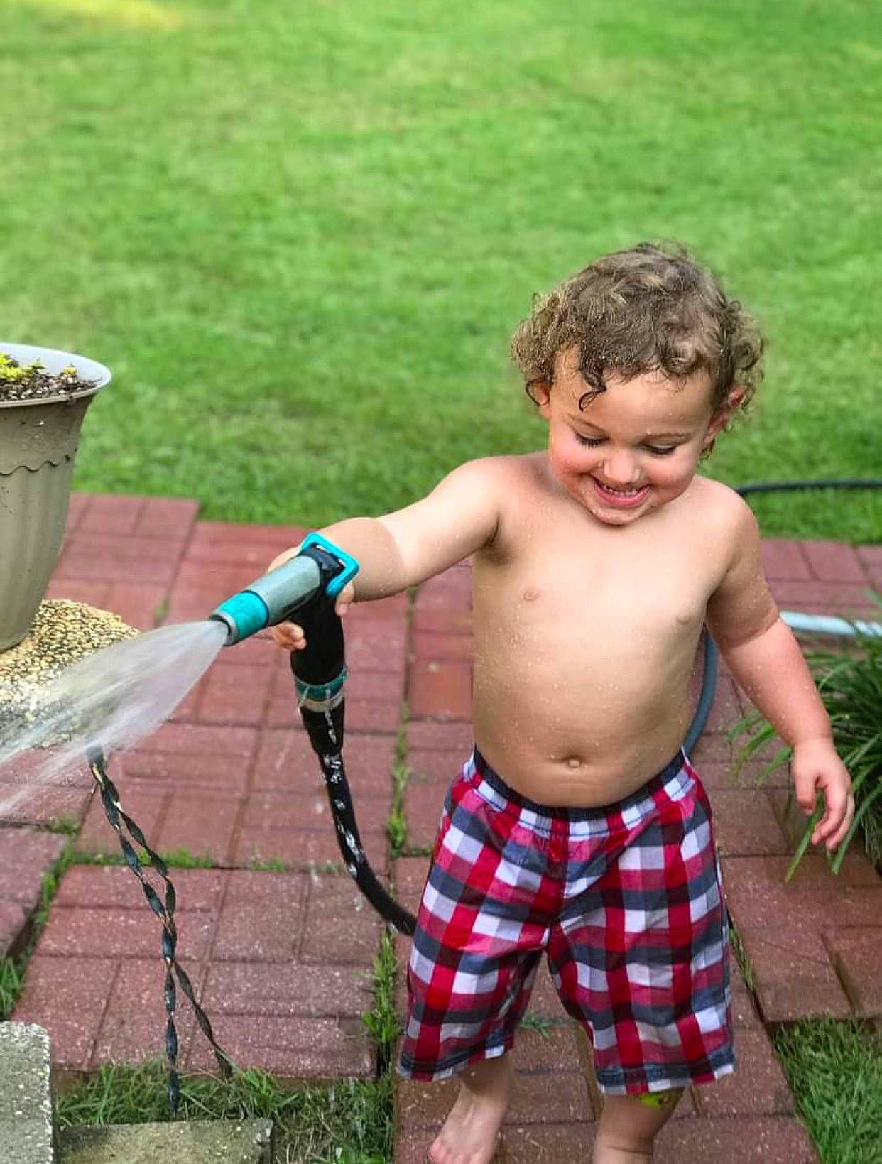 Jett joined the competition — help win amazing prizes! barechested, chest, fun, grass, hair, joy, leg, leisure, people_in_nature, person, plaid, plant, recreation, shorts, smile, tartan, thigh, thumb, toddler, tree