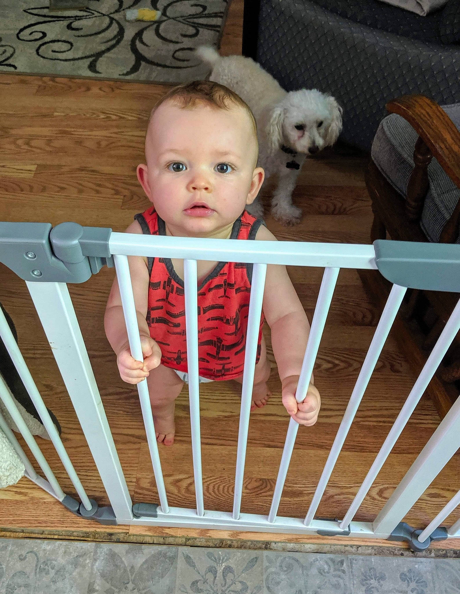 Erik is registered to the contest to win money with this photo: baby, baby_gate, baby_products, baby_safety, baby_toys, child, infant_bed, person, product
