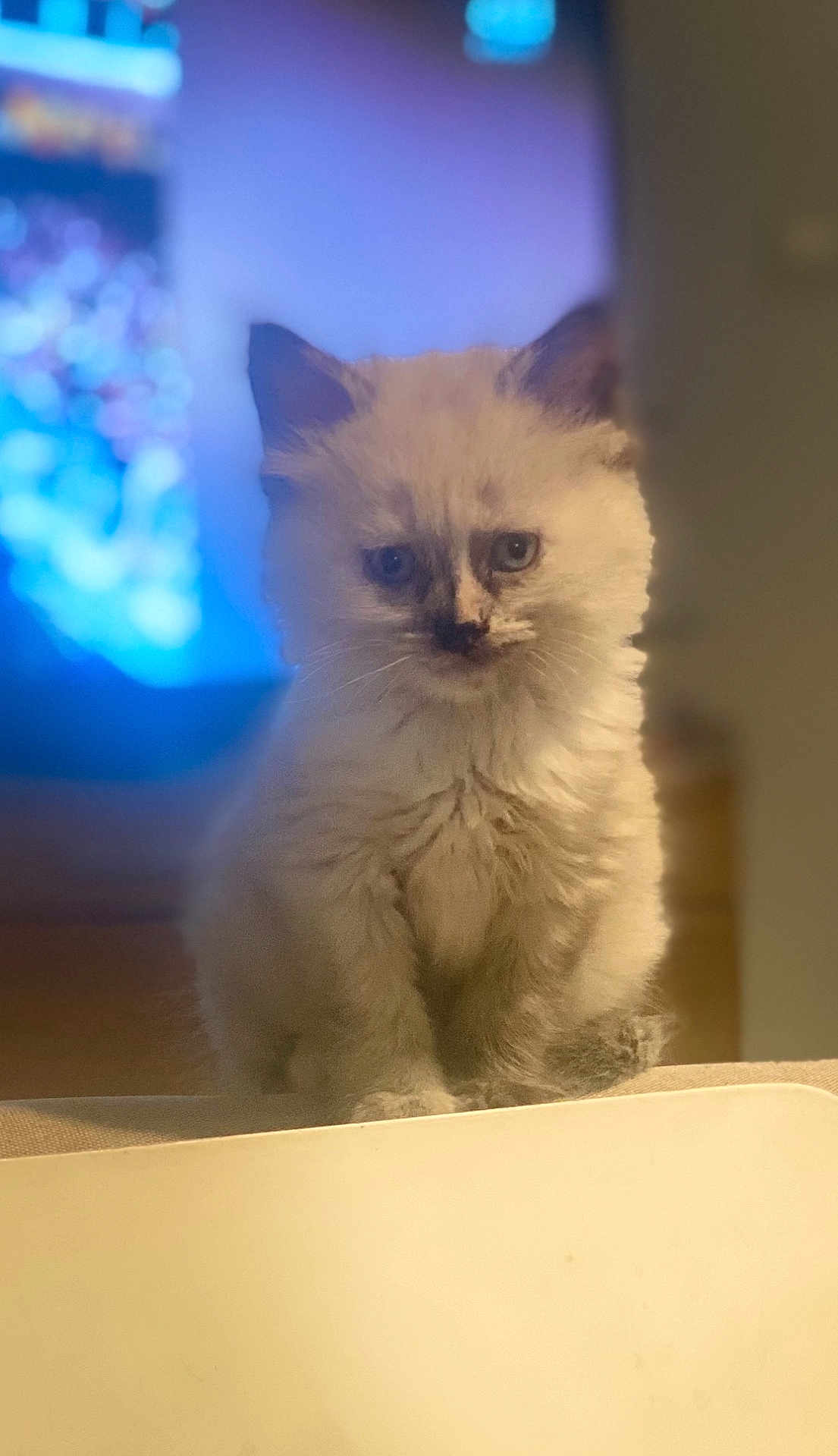 Zoe