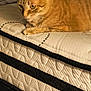 cat, ginger_cat, tabby, bed, mattress, quilted, indoor, pet, feline, resting, fur, whiskers, pillow, domestic_animal, looking, side_view, close_up, warm_lighting, texture, calm
