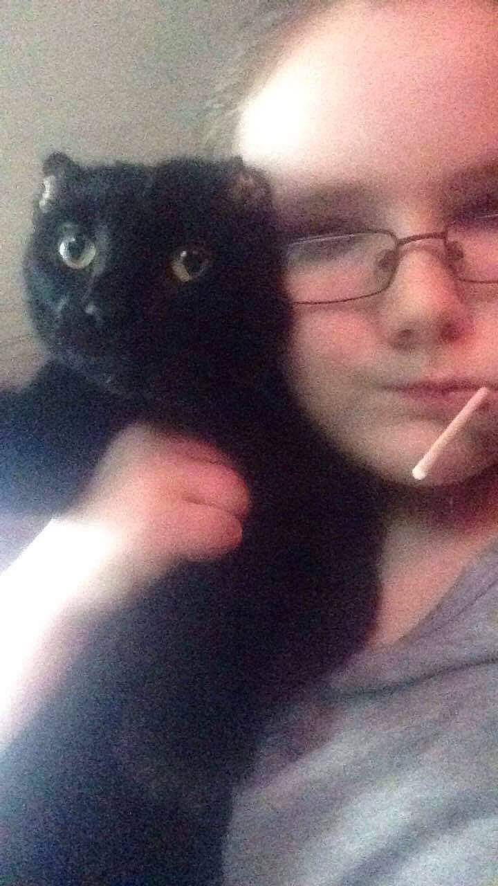 Bumper joined the competition — help win amazing prizes! black_cat, black_hair, bombay, carnivore, cat, ear, eye, felidae, kitten, nose, person, photography, selfie, small_to_medium_sized_cats, smile, whiskers