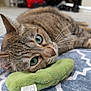Reese joined the competition — help win amazing prizes! cat, tabby, green_eyes, close_up, indoor, plush_toy, blanket, pattern, pet, animal, whiskers, fur, resting, cute, domestic, soft_toy, floor, lying_down, relaxed, cozy