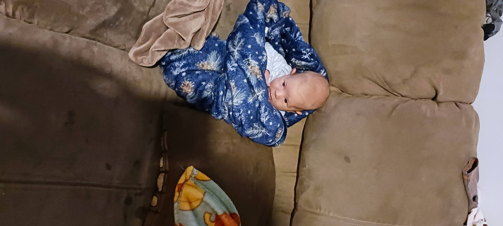 Issac joined the competition — help win amazing prizes! baby, calabaza, child, comfort, elbow, food, fruit, fun, leg, military, military_camouflage, military_person, military_uniform, person, room, sitting, soldier, toddler, uniform