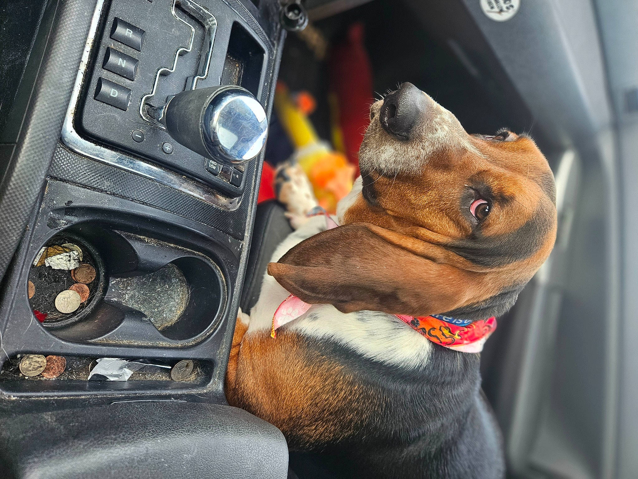 Flashers joined the competition — help win amazing prizes! audio_equipment, auto_part, automotive_design, automotive_lighting, car, carnivore, center_console, collar, companion_dog, dog, dog_breed, dog_supply, family_car, gear_shift, motor_vehicle, personal_luxury_car, steering_part, steering_wheel, vehicle, vehicle_door