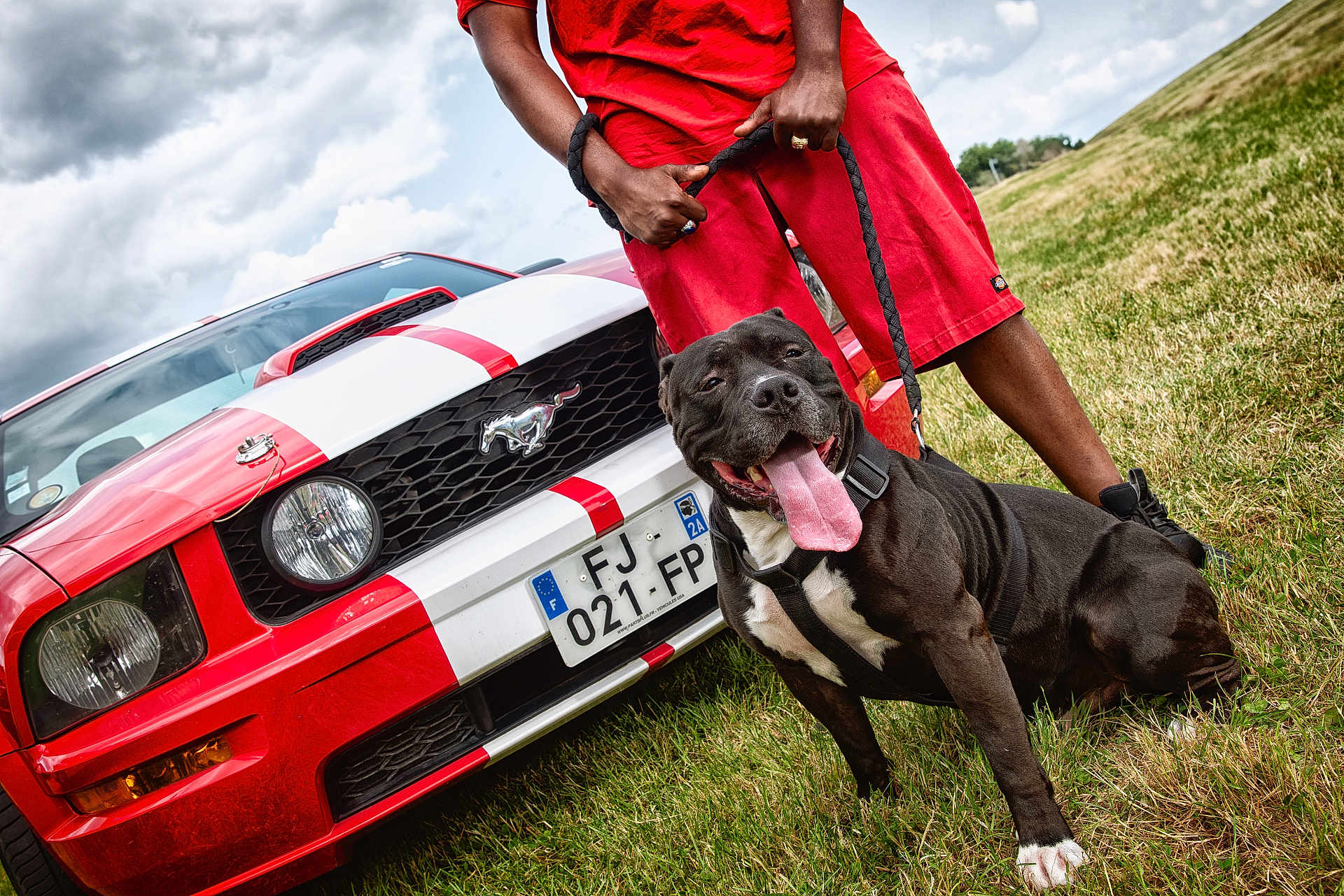 Doltch participe au concours pour gagner de l'argent avec cette photo : dog, black_dog, pet, grass, person, red_clothing, car, mustang, vehicle, outdoor, cloudy_sky, leash, happy, tongue_out, parked_car, summer, field, animal, mammal, casual