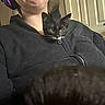 Moonpie joined the competition — help win amazing prizes! black_cat, black_hoodie, casual_clothing, cat, close_up, curious_kitten, door, face, glasses, headphones, indoor, indoor_lighting, kitten, nose_ring, person, pet, pet_hair, white_markings, young_adult, zipper
