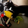 animal, black_and_white, cat, couch, curious, ears, fabric, feline, green_ribbon, indoor, lemon_shaped_toy, packaging, paw, pet, playing, plush_toy, soft_toy, toy, tuxedo_cat, whiskers