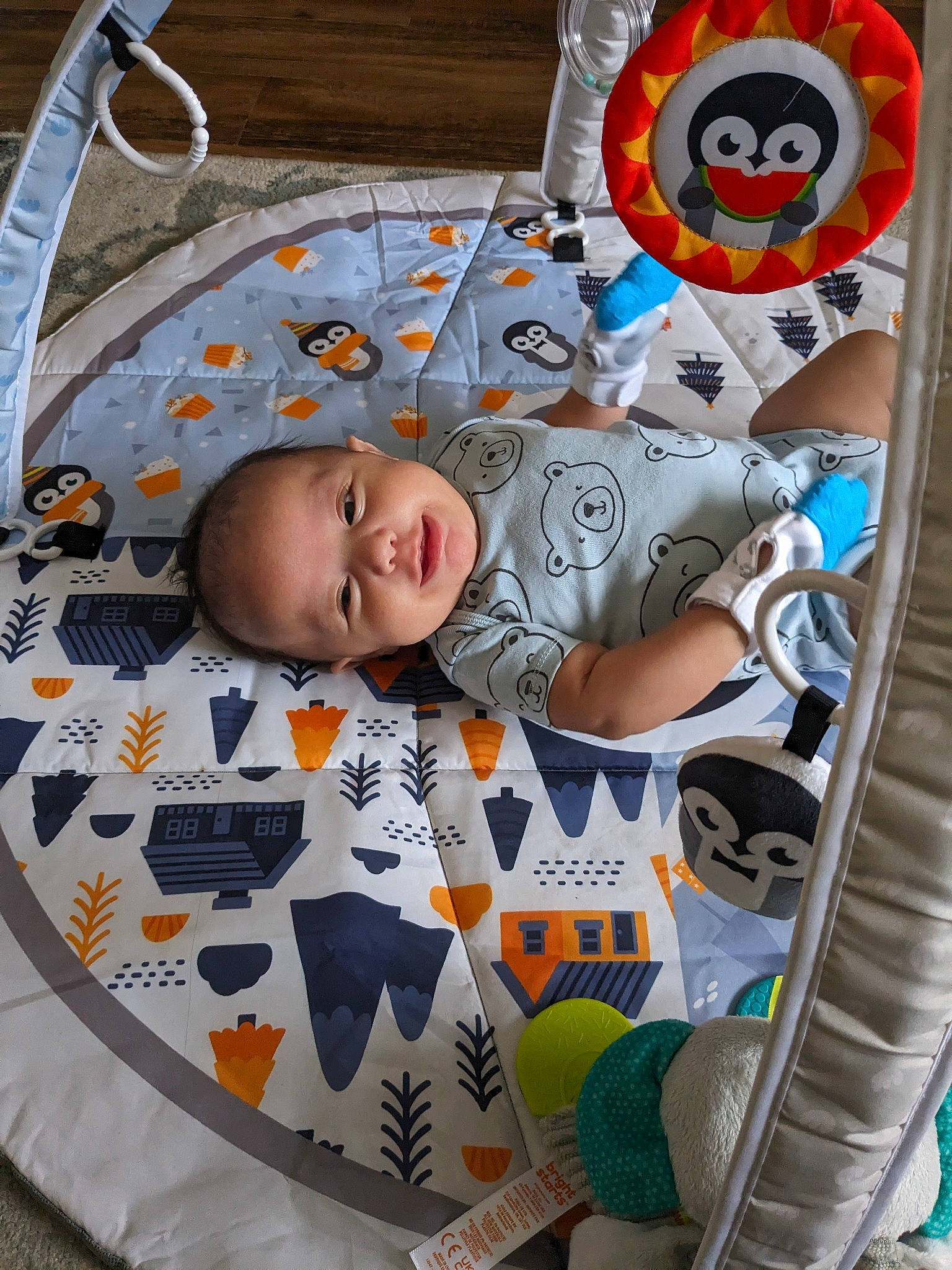 Aurelius joined the competition — help win amazing prizes! art, baby, baby_products, baby_safety, baby_toddler_clothing, baby_toys, bedding, child, comfort, flooring, fun, linens, orange, pattern, person, play, room, smile, toddler, visual_arts