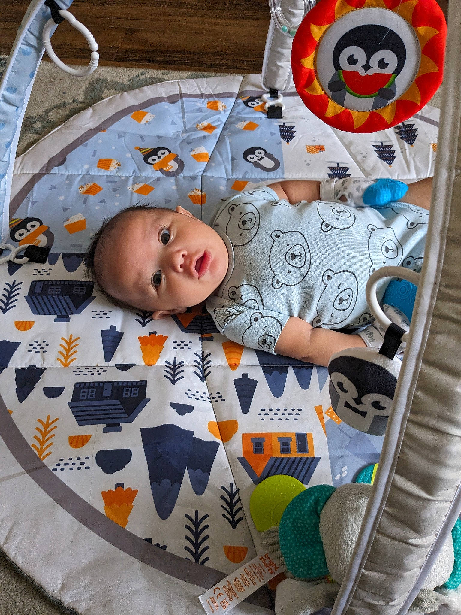 Aurelius joined the competition — help win amazing prizes! art, baby, baby_products, baby_safety, baby_toddler_clothing, baby_toys, child, circle, comfort, linens, orange, pattern, person, play, room, smile, textile, toddler, toy, visual_arts