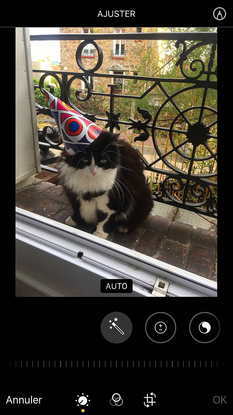 Twix participe au concours pour gagner de l'argent avec cette photo : audio_equipment, carnivore, cat, communication_device, electronic_device, felidae, fence, font, gadget, gesture, photograph, portable_communications_device, screenshot, small_to_medium_sized_cats, snapshot, tablet_computer, telephony, wheel, whiskers, white