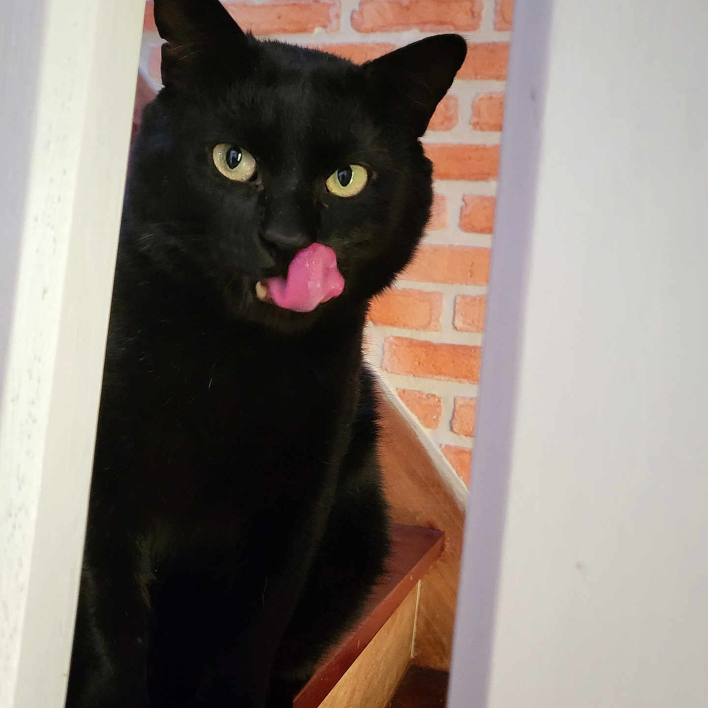 Oscar