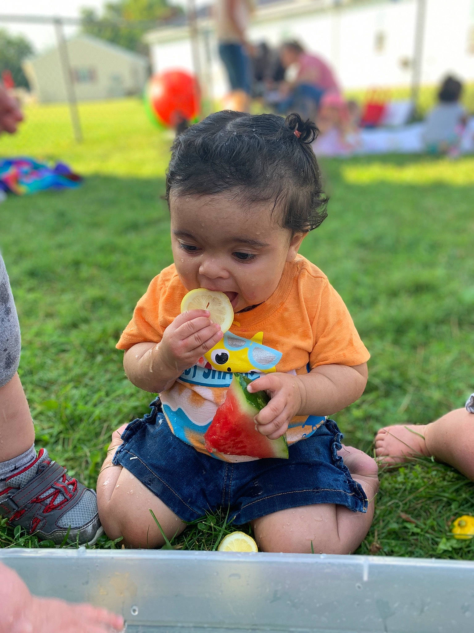 Serenity joined the competition — help win amazing prizes! baby, baby_toddler_clothing, child, event, fun, grass, happy, human_leg, leisure, person, photograph, playing_with_kids, recreation, shorts, sitting, skin, summer, thigh, toddler, vacation
