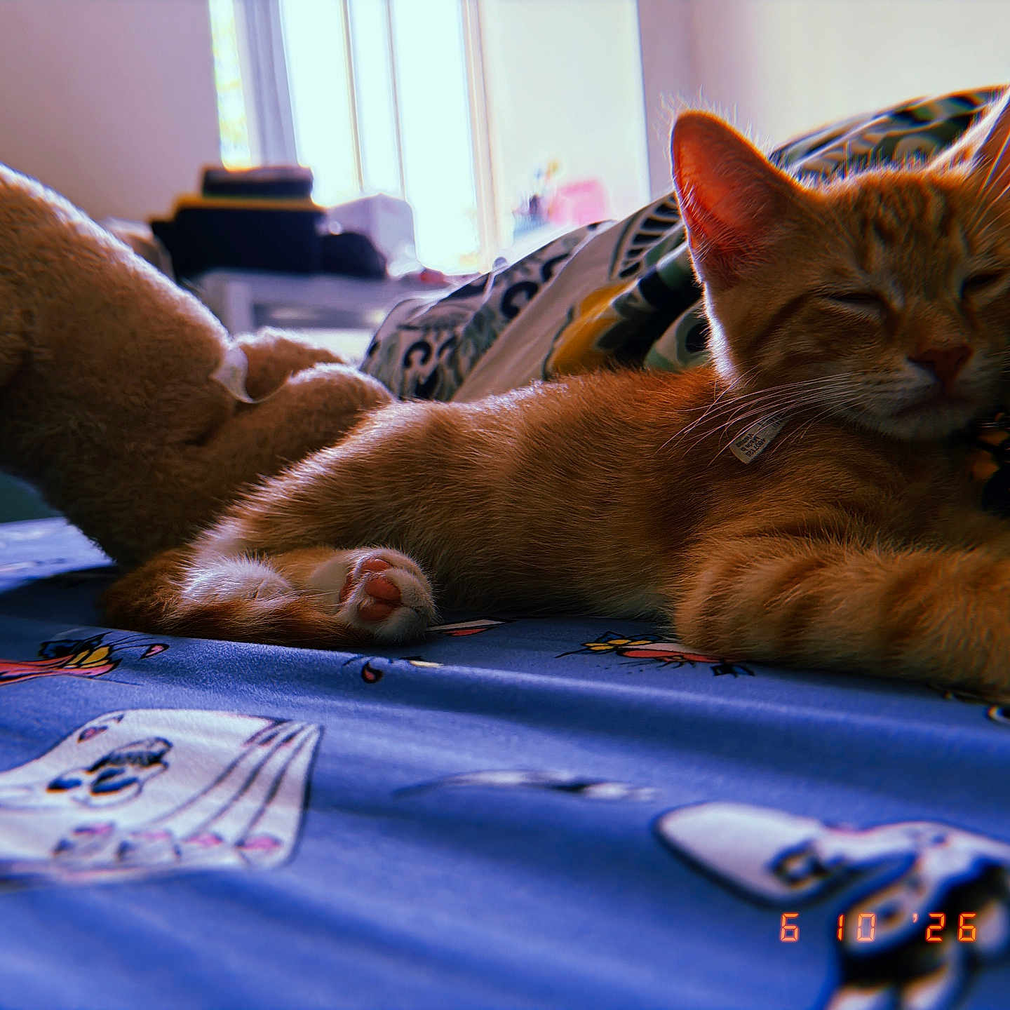 Jett